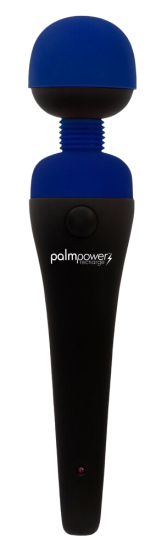 Palmpower recharge blue