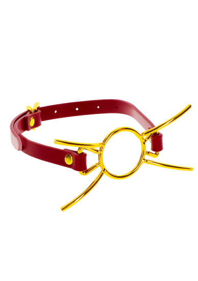 Taboom Bondage in Luxury Open Mouth Spider Gag