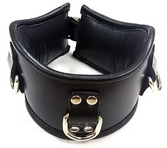 ROUGE Leather Padded Posture Collar With 3 D-Rings Black